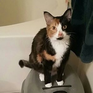 Meet your Posher, Breanne